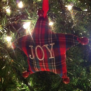 Advent XV
