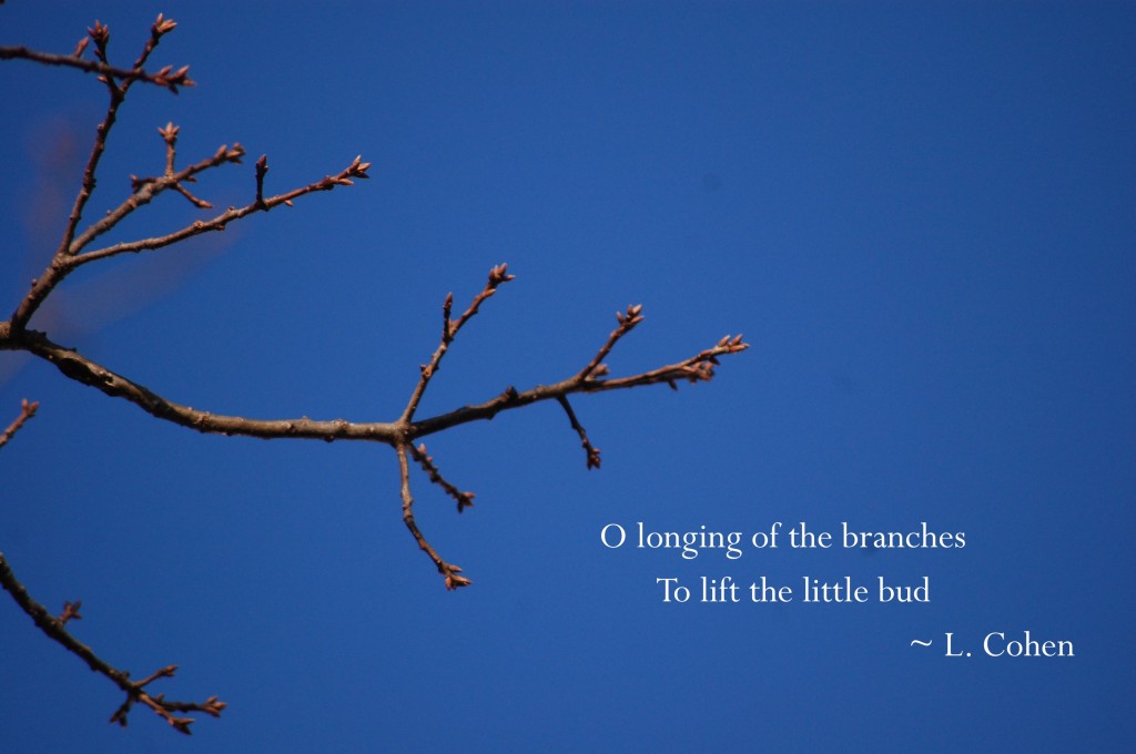 Longing of the Branches