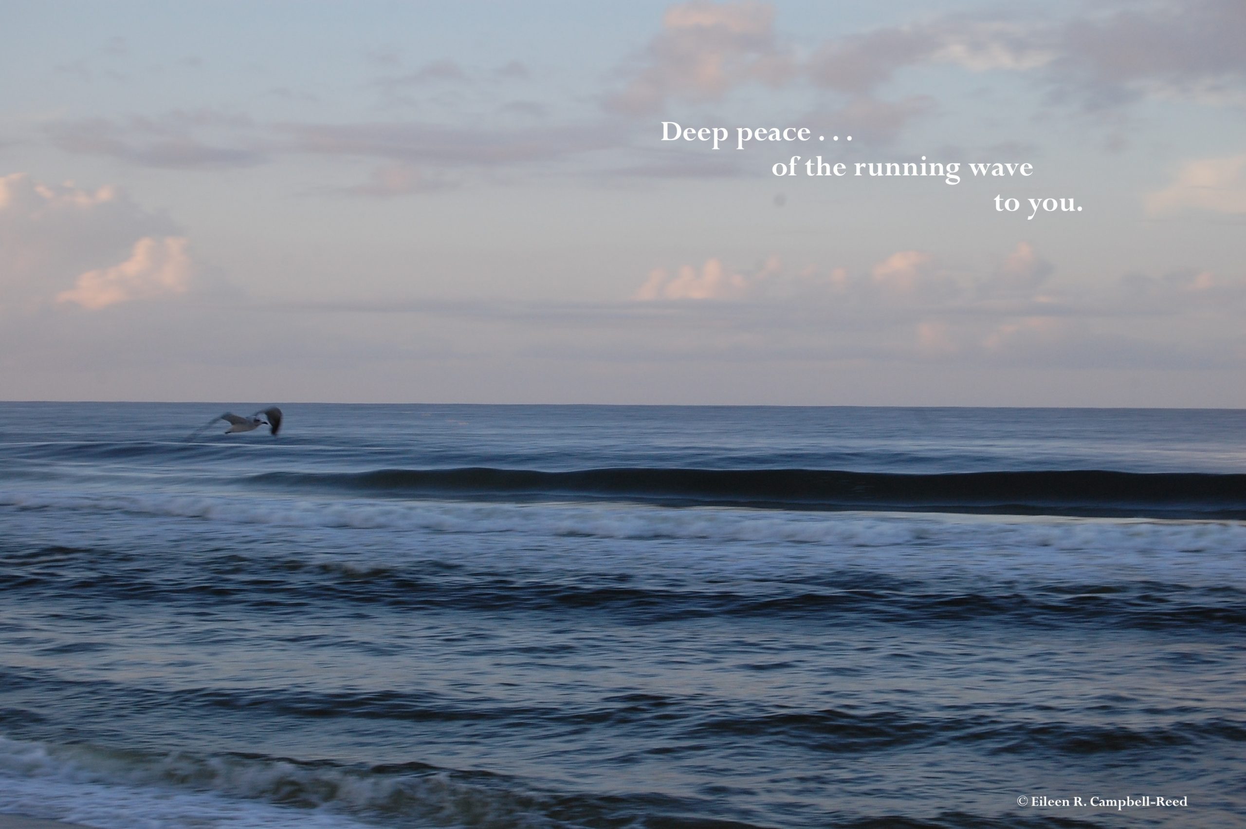 deep peace - ocean waves and bird