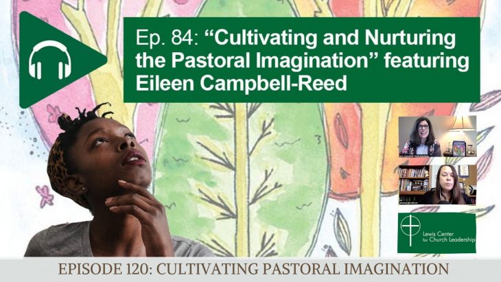Cultivating Pastoral Imagination