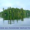 pandemic reflections