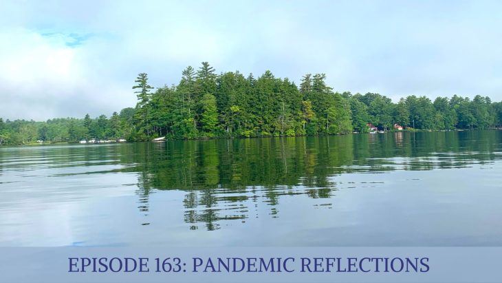 pandemic reflections