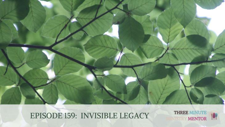 invisible legacy - green leaves