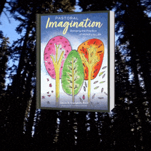 Pastoral Imagination book cover moving image