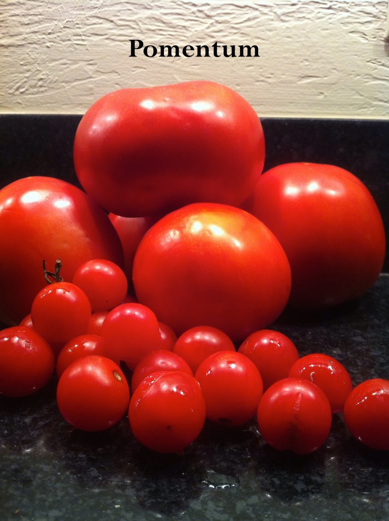 Pomentum