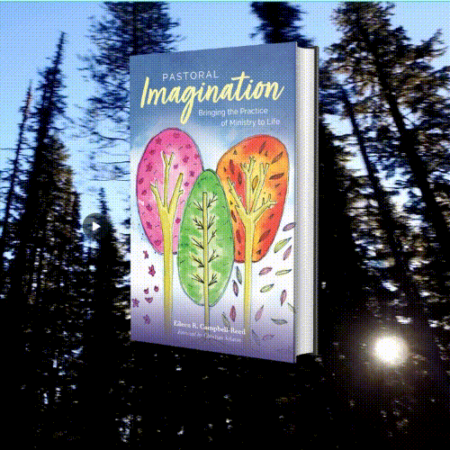 Pastoral Imagination book cover moving image